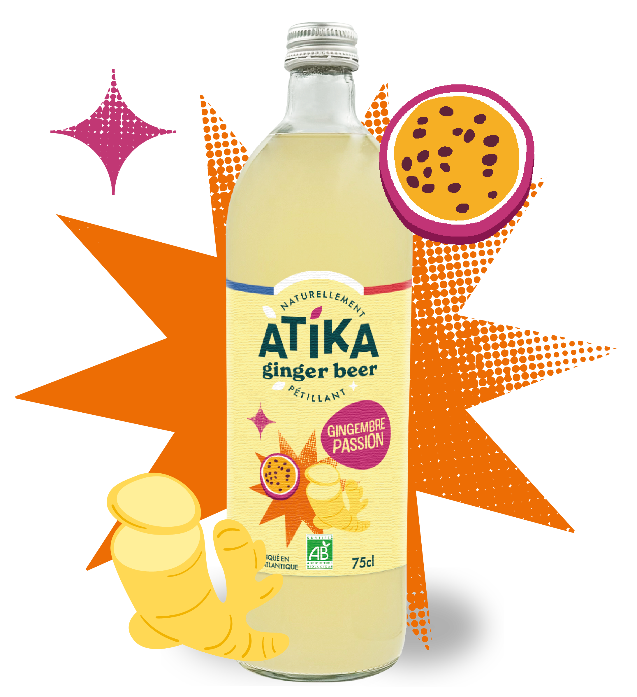 Gamme Ginger - Atika - Kombuchas